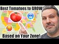 Best tomato to grow in your zone