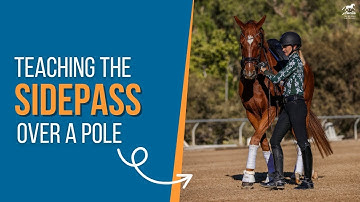 Teach Your Horse to Side Pass Over a Pole (Step-by-Step!)