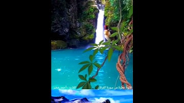 تلاوة عطرة من سورة الفرقان - القارئ أحمد خضر 🌿💚