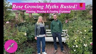 Rose Growing Myths Busted! 🌹