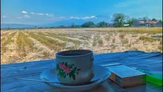 STORY WA ,KOPI PEMANDANGAN SIANG HARI #popular #viral #kopihitam #kopiviral