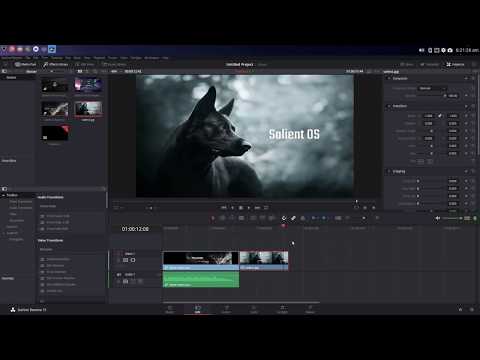 gnu/linux-tech-tips---video-editing-with-davinci-resolve