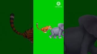 Lion and elephant green screen videos #animals #cartoon #lion