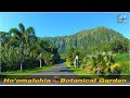 Waikiki to Ho'omaluhia Botanical Garden | Gorgeous Scenery Garden, Birds Singing 4K 🌴 Hawaii Driving