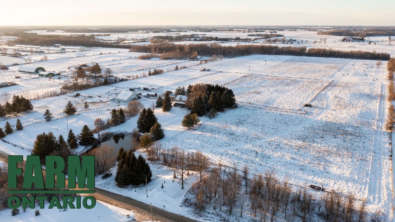 10252 Melrose Dr, Komoka Farms For Sale In Ontario YouTube