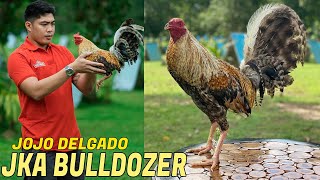 Jojo Delgado JKA BULLDOZER - Big Farm In the Philippines