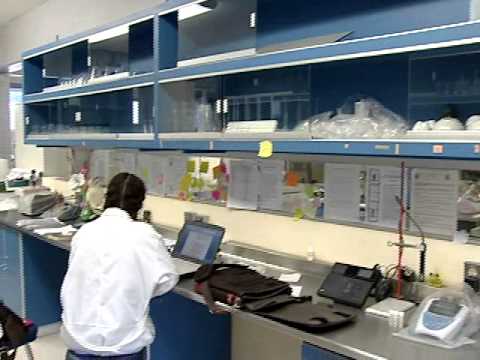 Facultad de Agronomía, UASLP. - YouTube