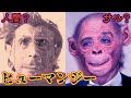 【実話】人間とチンパンジーのハーフが本当に存在していました...【都市伝説 ヒューマンジー】