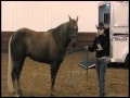 Stacy Westfall horse training lesson with Twilite Trailers - Part 1