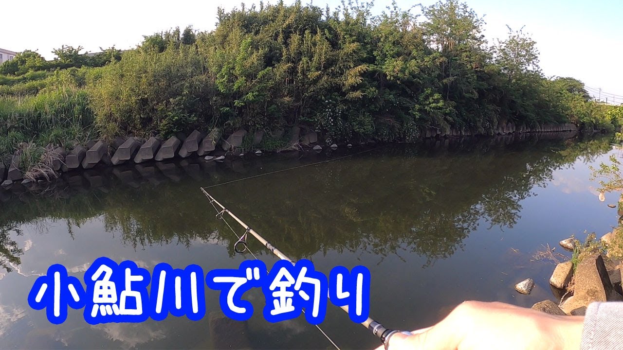 小鮎川で釣り 神奈川 Youtube