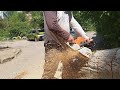 Режем тополь бензопила Stihl ms361 цепь Dolmar