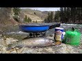 Catch n' Cook Wild Trout Deep in the Mountains