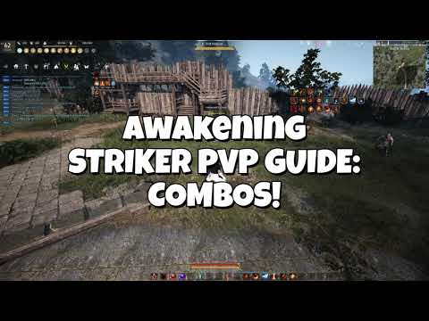 BDO Striker PVP Guide: Awakening COMBOS!