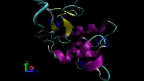 lysozyme in water - gromacs
