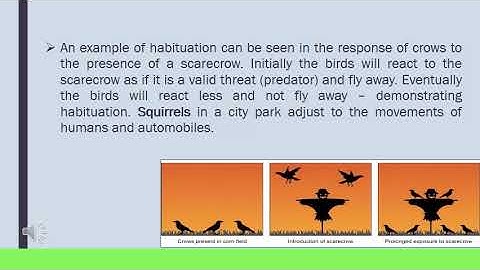 ZOOL1112 - Lecture 17 - Learning and Habituation