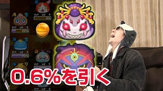【ぷにぷに攻略】SSSランクの0.6%引いたる! 妖怪ウォッチシャドウサイド 女郎蜘蛛 剣武魔神・玄武 げんぶ 【ぷにぷに攻略】SSSランクの0.6%引いたる! 妖怪ウォッチシャドウサイド 女郎蜘蛛 剣武魔神・玄武 げんぶ