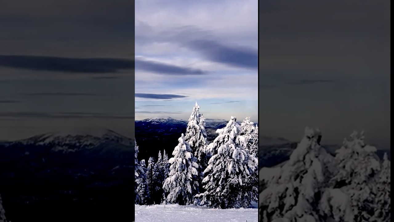 Nothing But Wind and Ice Up Here