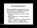 Cell Structure and Function Quiz