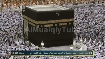 الشيخ ماهر المعيقلي l تلاوة من سورتين الضحى - الكوثر HD