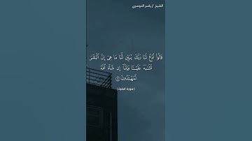 سورة البقرة ( ٦٩ -  ٧١) / ياسر الدوسري