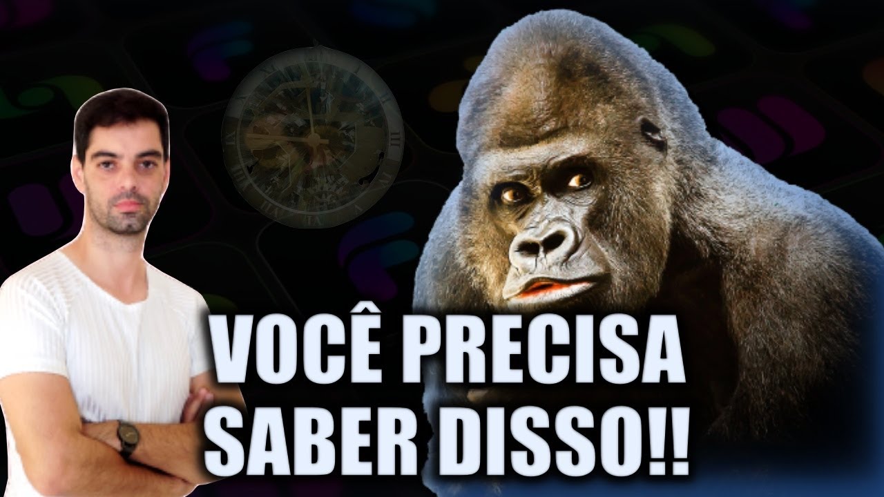 💥Feg token - 11 fatos sobre a migração!!💥