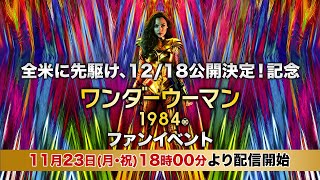 全米に先駆け、12/18公開決定！記念『ワンダーウーマン1984』ファンイベント