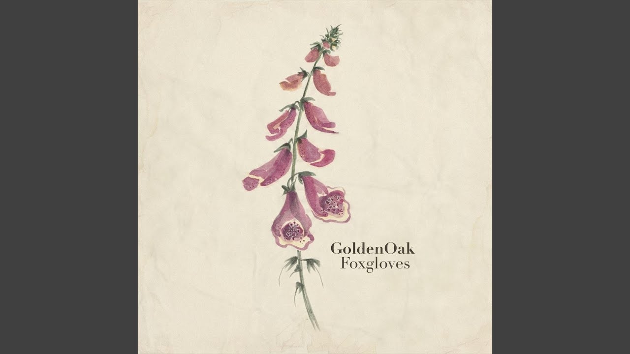 Watch Foxgloves on YouTube Watch Foxgloves on YouTube