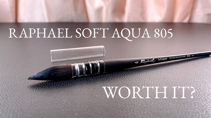 CHEAP or EXPENSIVE Brushes? (PanArt Watercolor Mop Brush Review) 