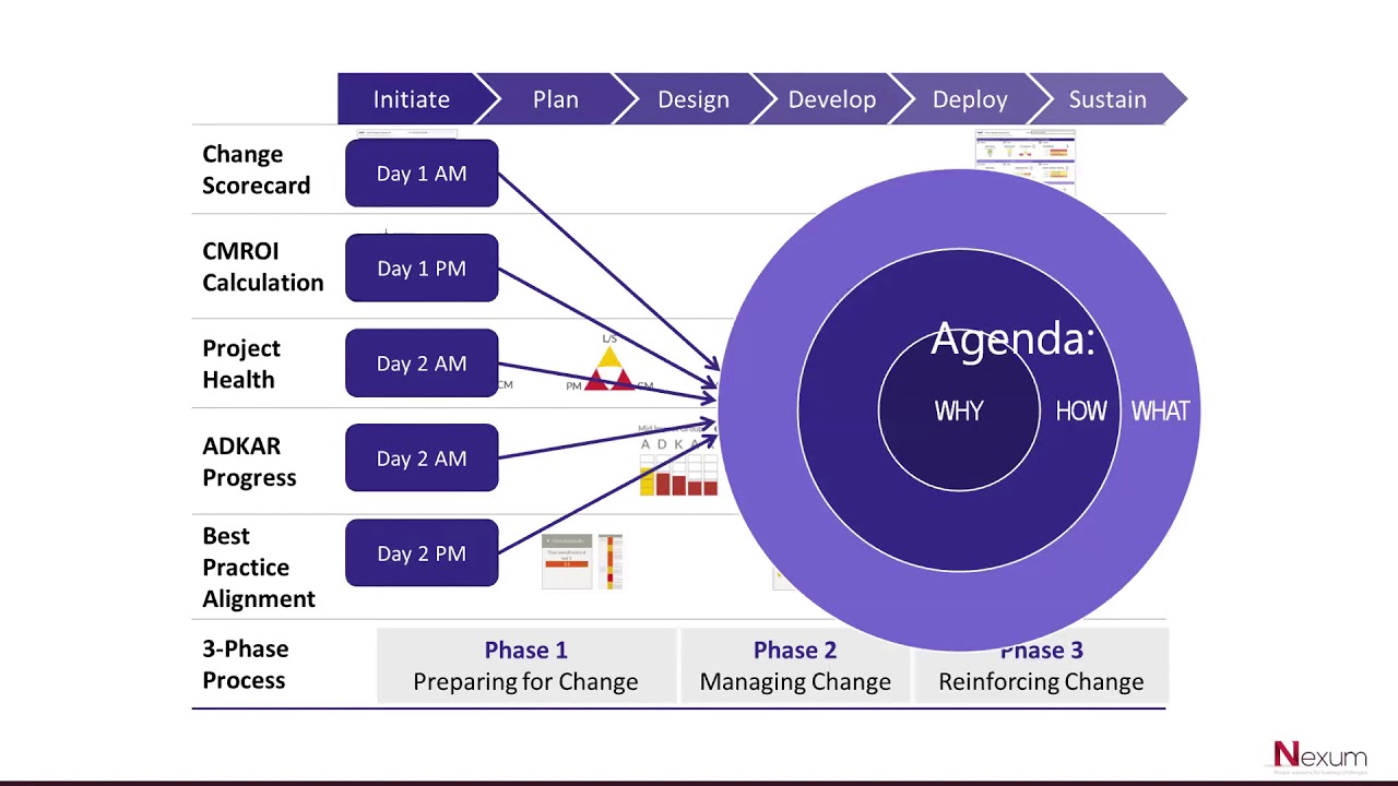 Webinar - Presentation of the program "Advanced Immersion Workshop"