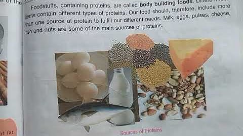 DAV Nahan Class-IV Science Lesson-7, Part-9