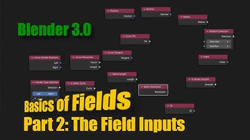 Blender 3.0: Velden Deel 2 - De veldinvoer