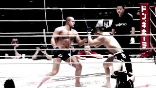 Emelianenko (KO) - UFC VINE