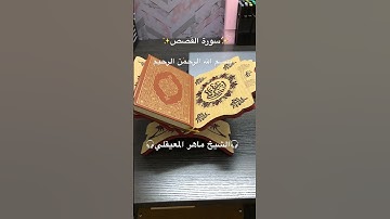 سورة القصص(٤٣-٤١) Surah Al Qashash✨القرآن الكريم✨