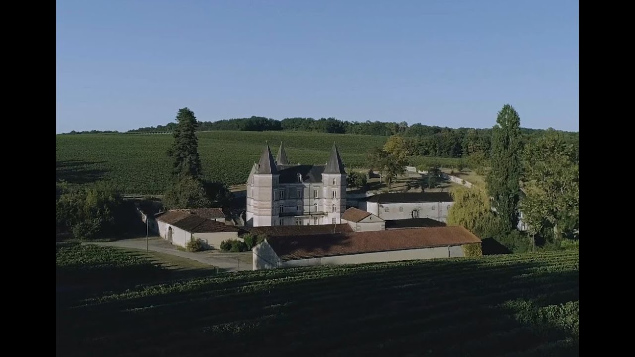 Коньяк Фрапин - виноградная лоза в наследство