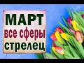 СТРЕЛЕЦ 🌺 МАРТ 2021 (РАБОТА, ЛЮБОВЬ, ДЕНЬГИ, ДОМ, СЮРПРИЗ и т.д.)Таро прогноз гороскоп