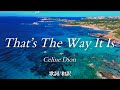 【洋楽和訳】愛はそれを信じる人のもとに... That's The Way It Is / Celine Dion（ザッツ・ザ・ウェイ・イット・イズ / セリーヌ・ディオン）
