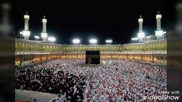 اواخر سورة القصص قصة لقمان وقومه تلاوة هادئة للتأمل 🌹