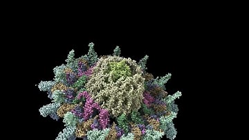 T4SS IcmX Plug Secretion Extended 10 pm/ps Simulation Angled View