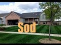 New Sod Fertilizing And Treatment Schedule | New Sod Care