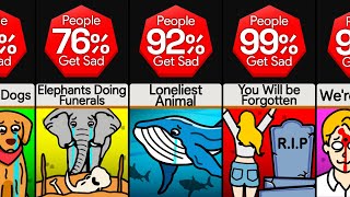 Comparison: Facts That Will Make You Sad