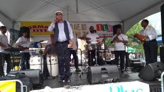 Raulin Rosendo El Cantante Festival 153 St 3 Ave Bronx NY Rec by Elvin Polanco 2015 HD