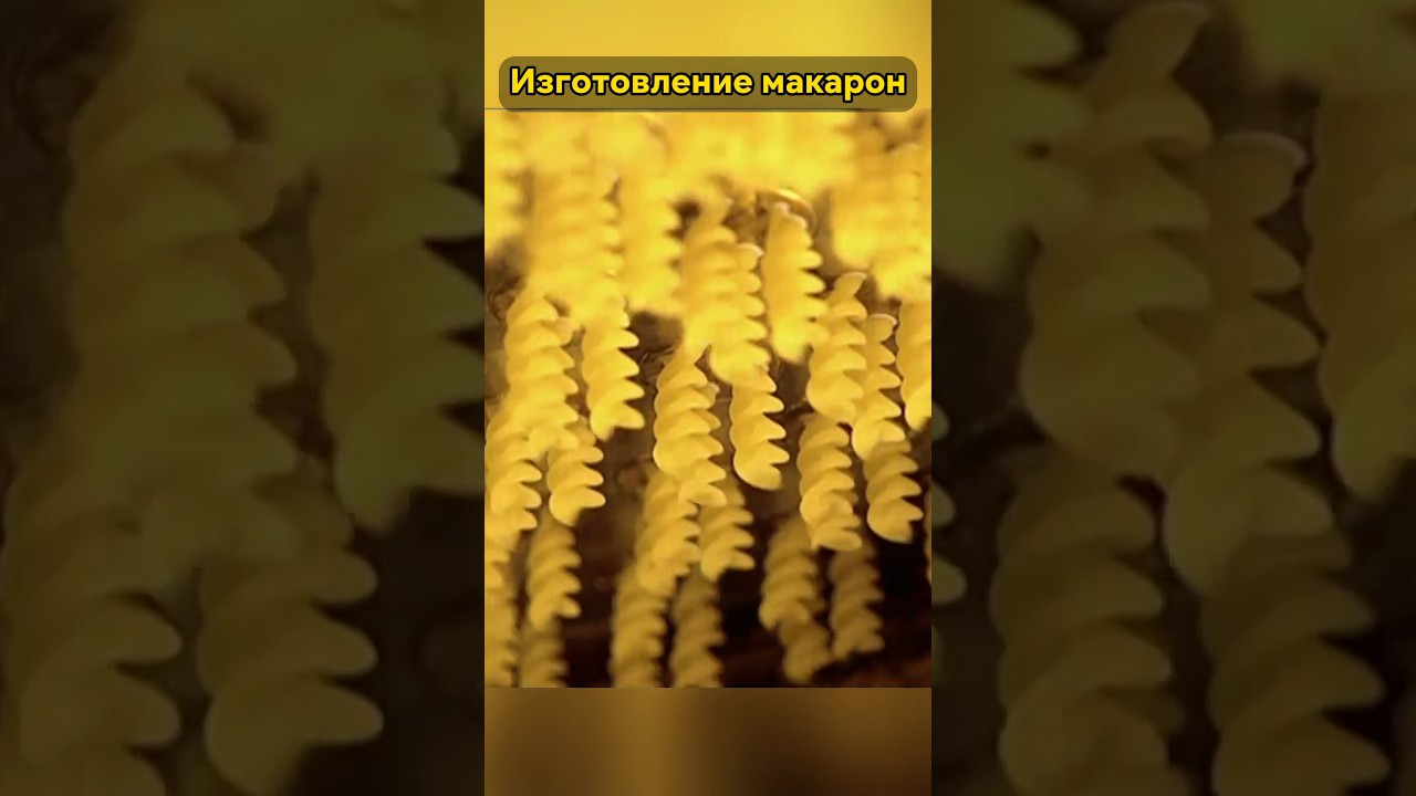 Производство макаронных изделий... #shorts #рецепт #изготовление #проверка #эксперимент