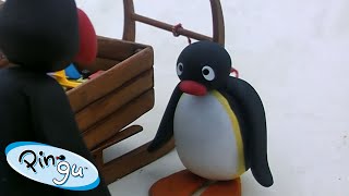 Pingu And The Lost Ball 🐧 | Pingu - Official Channel | Cartoons For Kids