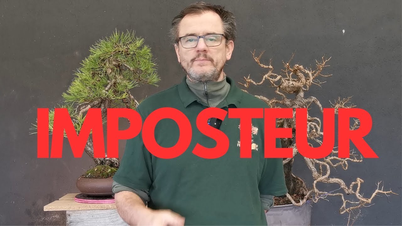 Je suis un INTRUS dans le Bonsaï Français