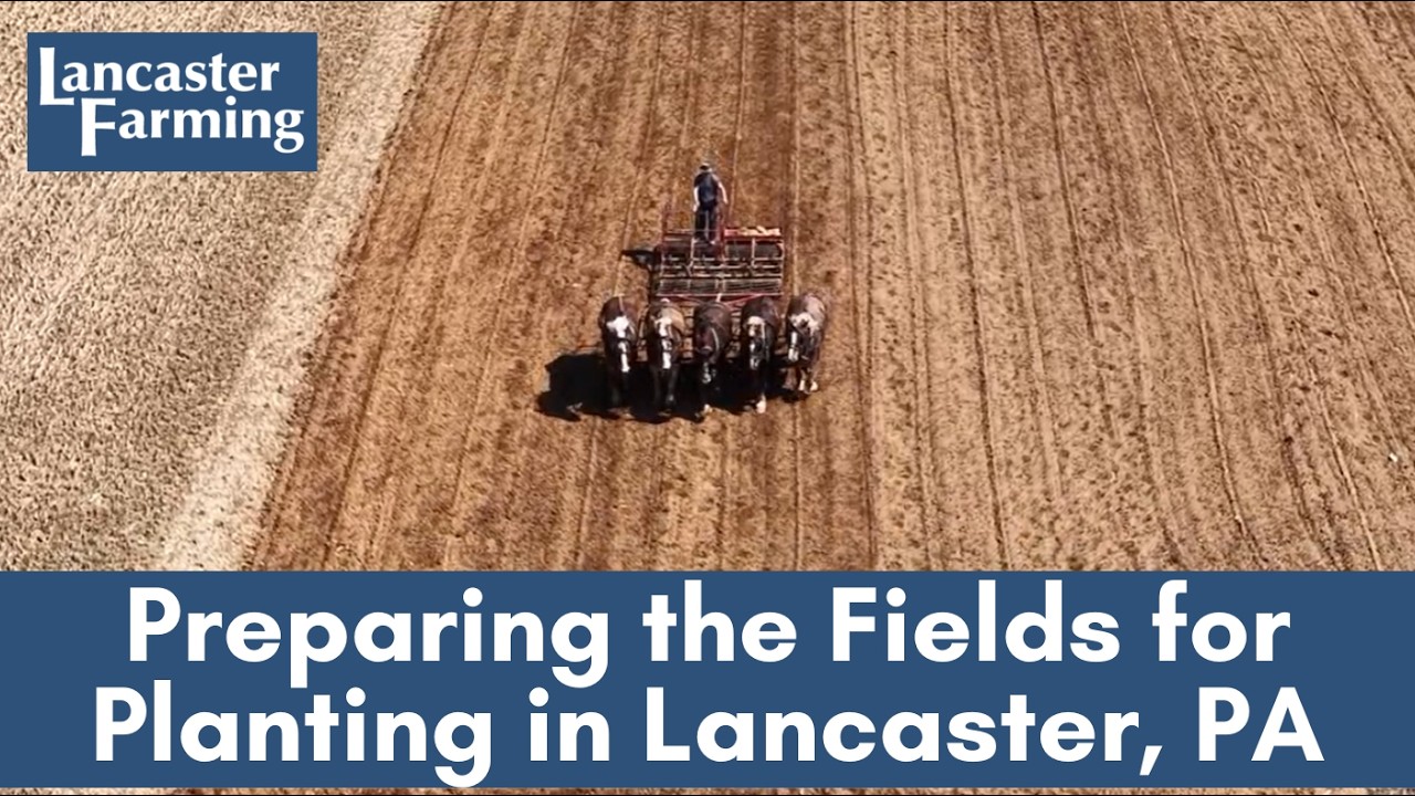 How Farmers Prepare Their Fields for Planting - YouTube