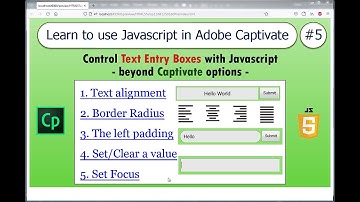 Javascript in Adobe Captivate: #5 Control Captivate Text Entry Boxes with JS