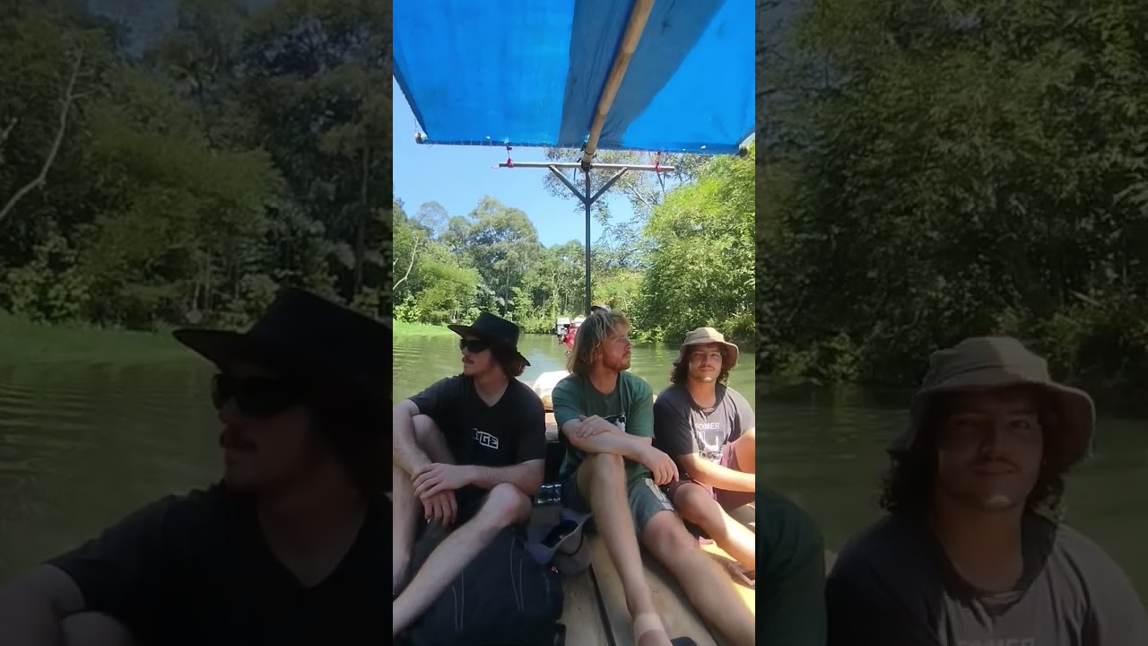 Jungle Trip With Australian Guys 