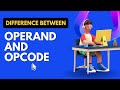 Opcode and operand in hindi   computer bcs11 opcode operand