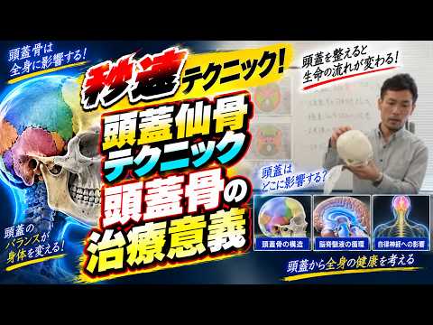 頭蓋仙骨テクニック　頭蓋骨の治療意義（頭蓋仙骨療法の治療技術動画）