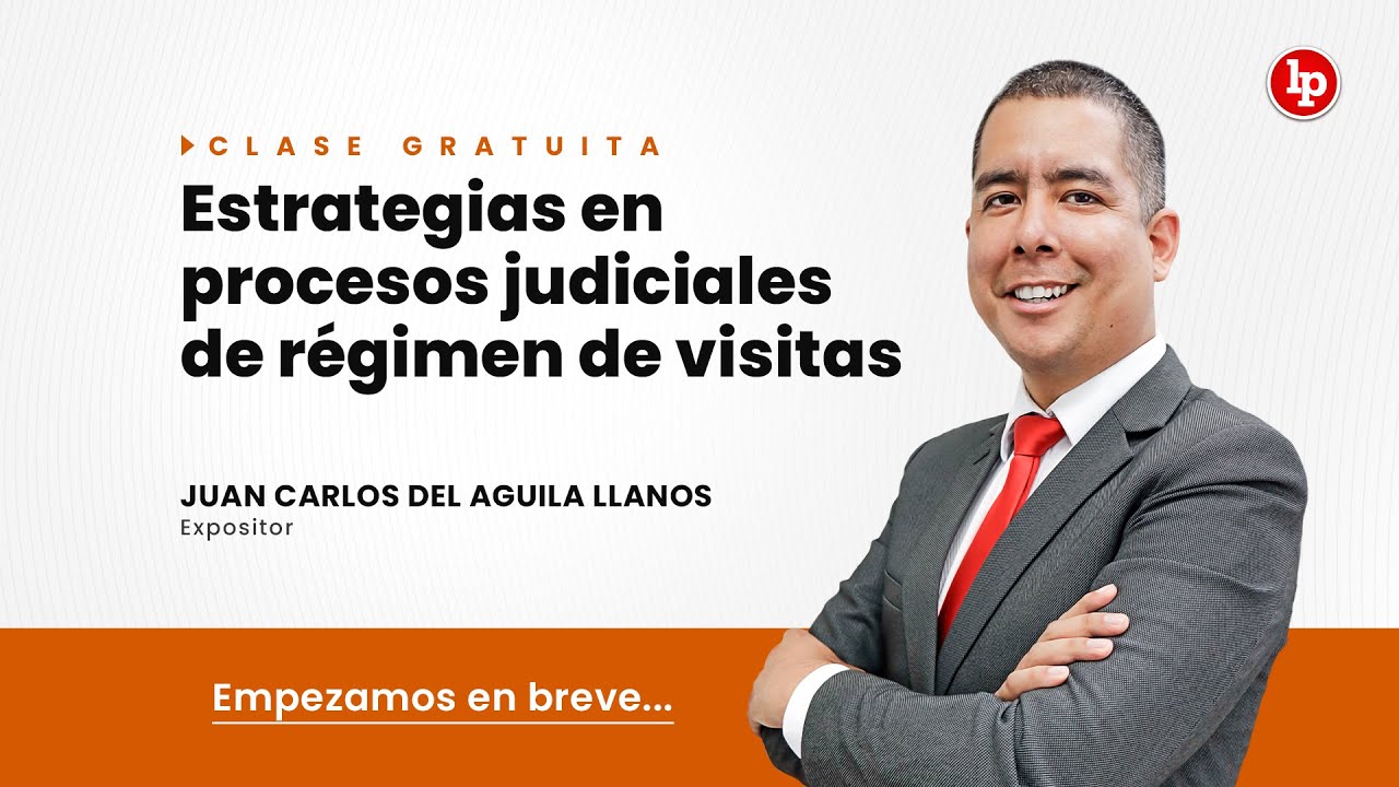 Clase gratuita: Estrategias en procesos judiciales de régimen de visitas